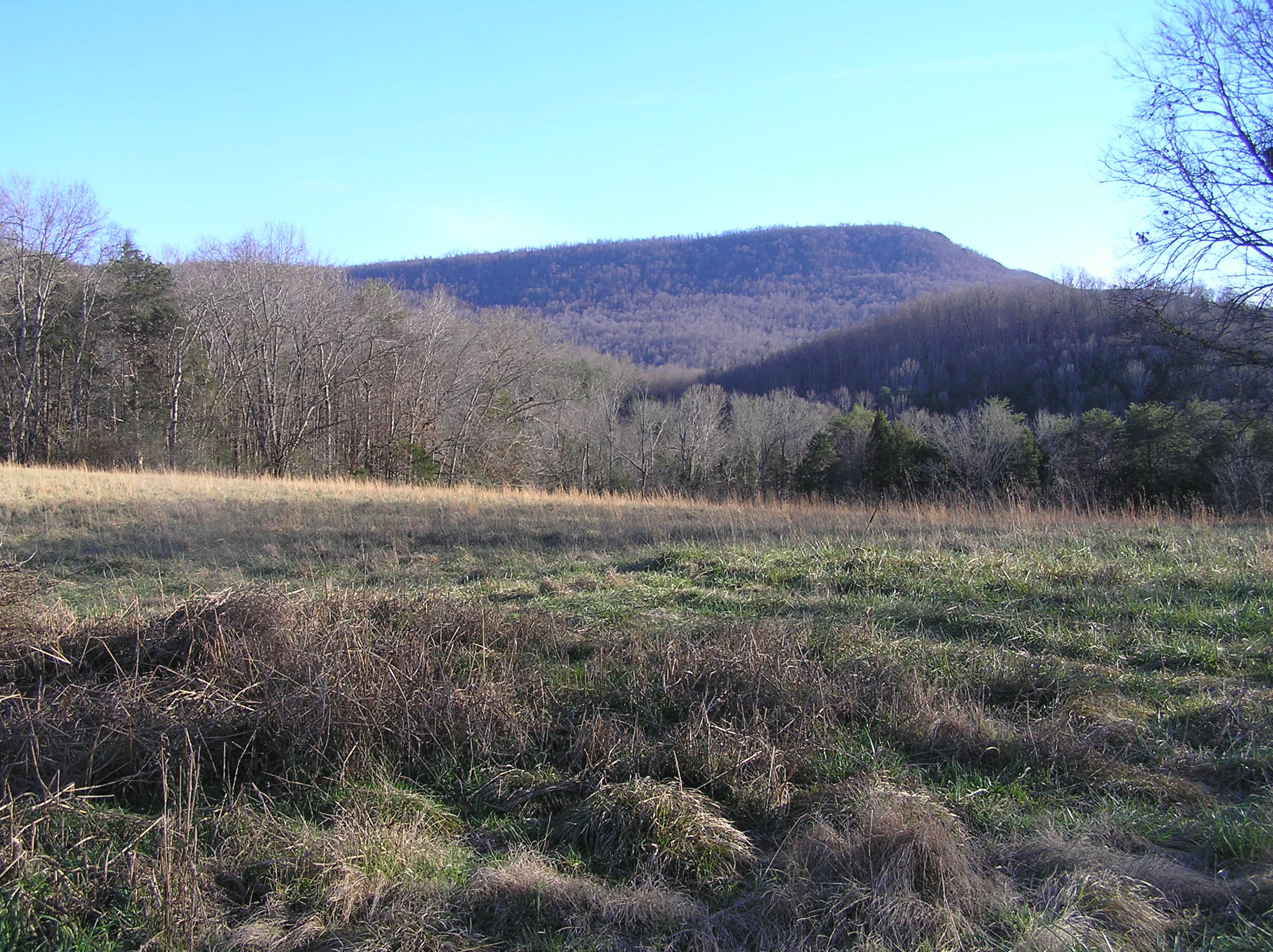 4114 Lower East Valley Road Dunlap, TN 37327 - Photo 88 of 122 miller 029