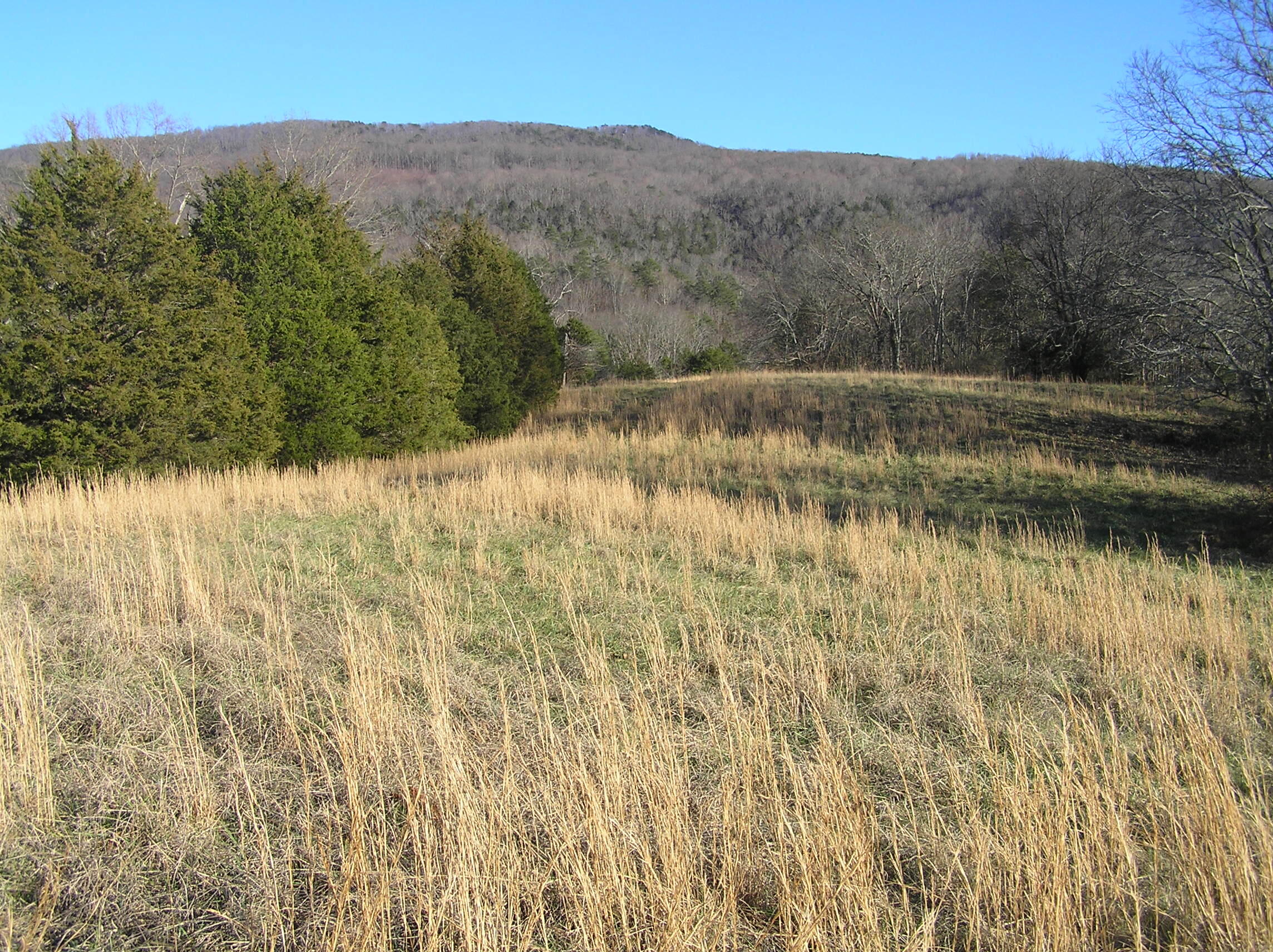 4114 Lower East Valley Road Dunlap, TN 37327 - Photo 90 of 122 miller 034