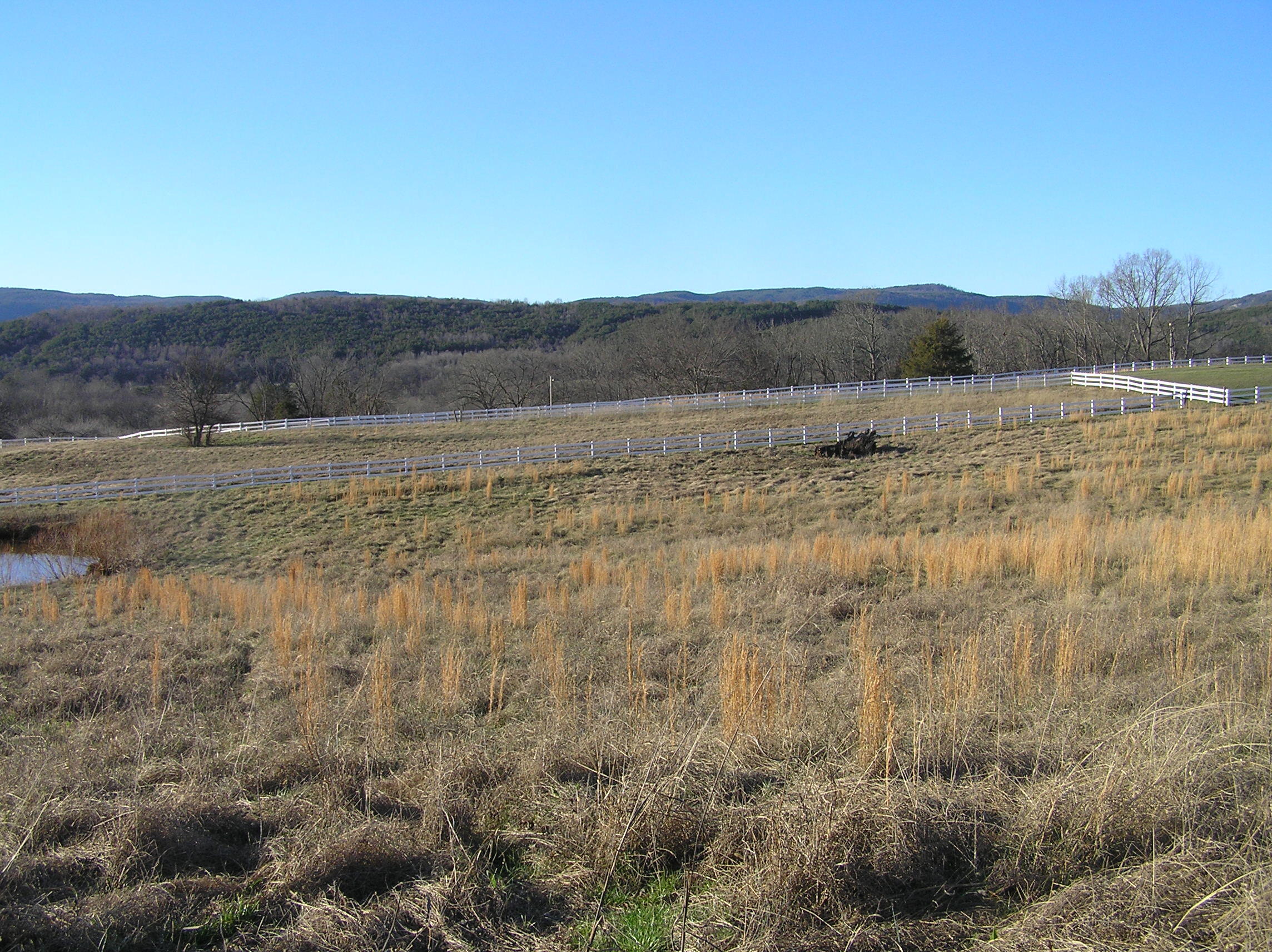 4114 Lower East Valley Road Dunlap, TN 37327 - Photo 91 of 122 miller 037