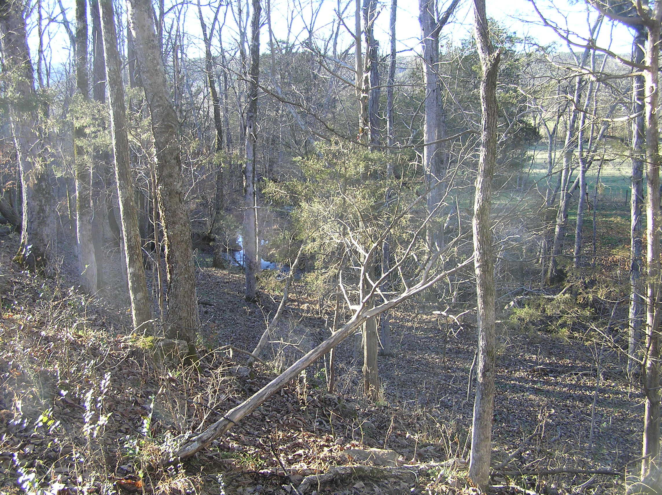 4114 Lower East Valley Road Dunlap, TN 37327 - Photo 92 of 122 miller 038