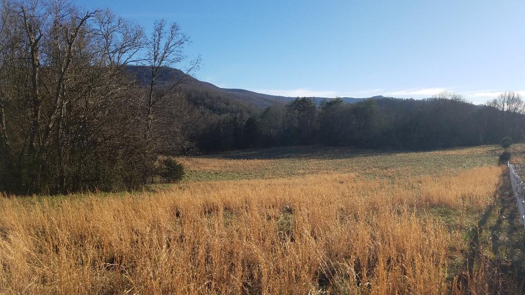 4114 Lower East Valley Road Dunlap, TN 37327 - Photo 93 of 98 100