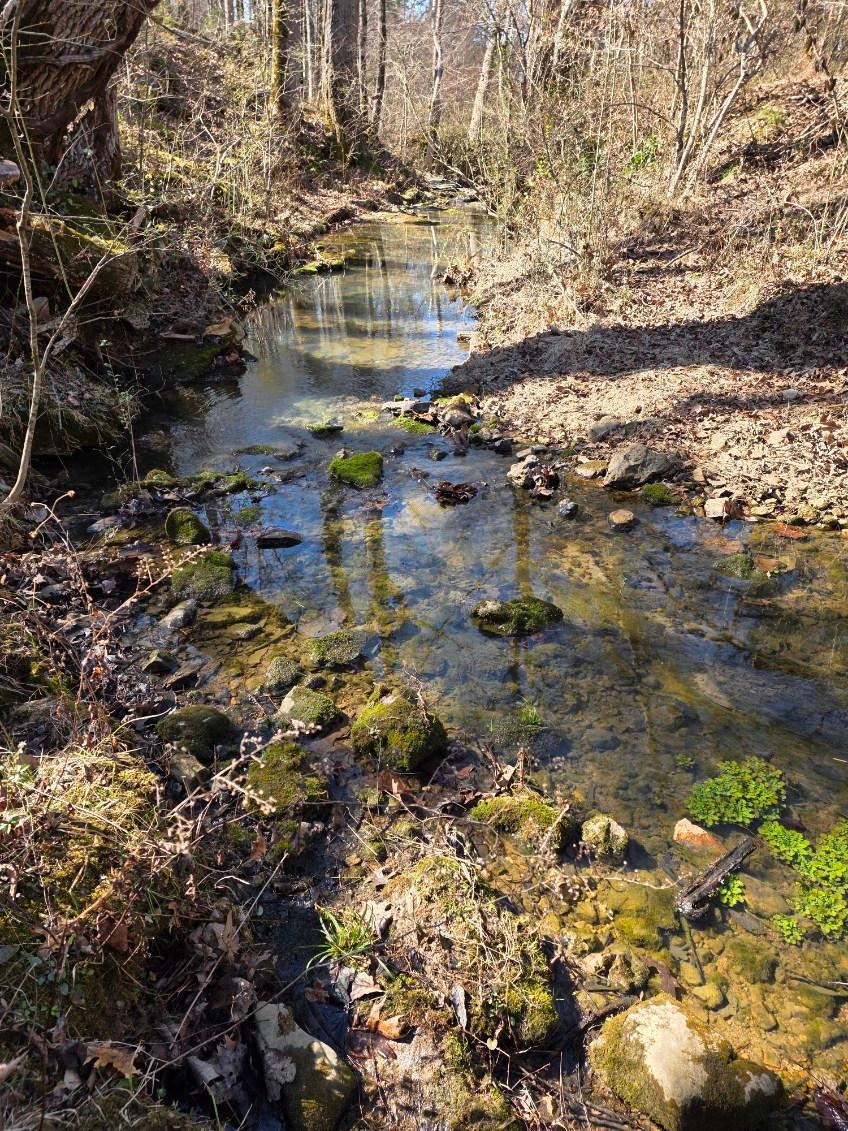 4114 Lower East Valley Road Dunlap, TN 37327 - Photo 10 of 98 11