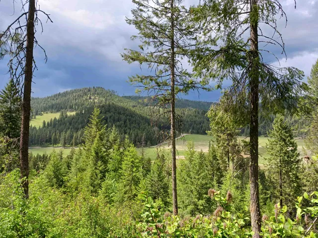 $74,999 | Parcel E Daisy Mine Road, Rice, WA 99167