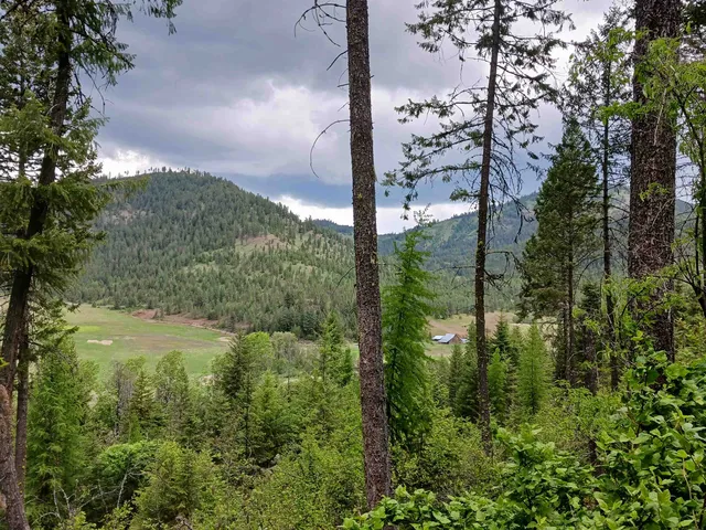 $74,999 | Parcel E Daisy Mine Road, Rice, WA 99167