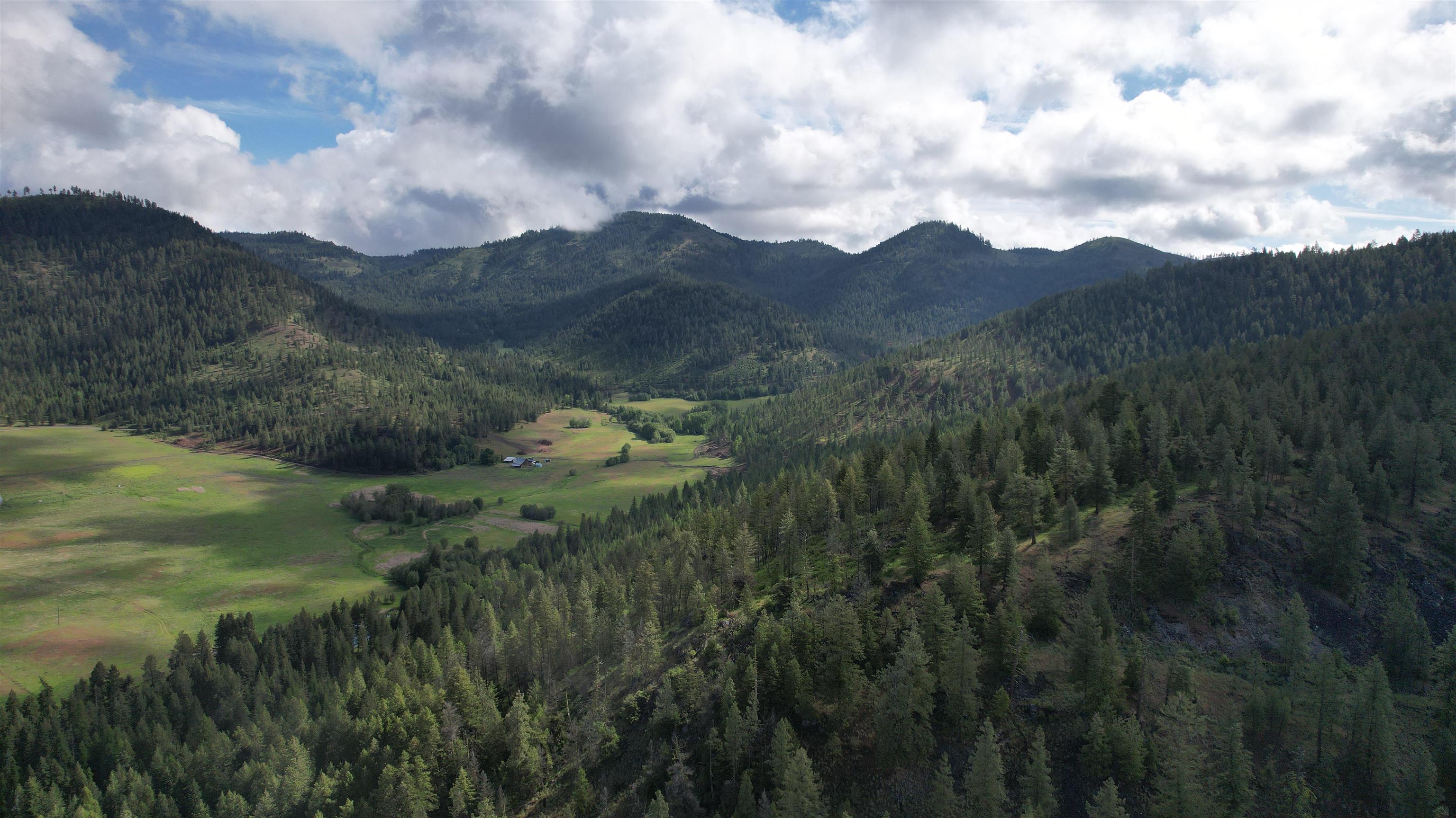 Parcel E Daisy Mine Road Rice, WA 99167 - Photo 27 of 33