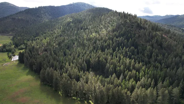 $74,999 | Parcel E Daisy Mine Road, Rice, WA 99167