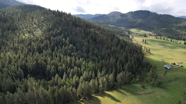 $74,999 | Parcel E Daisy Mine Road, Rice, WA 99167