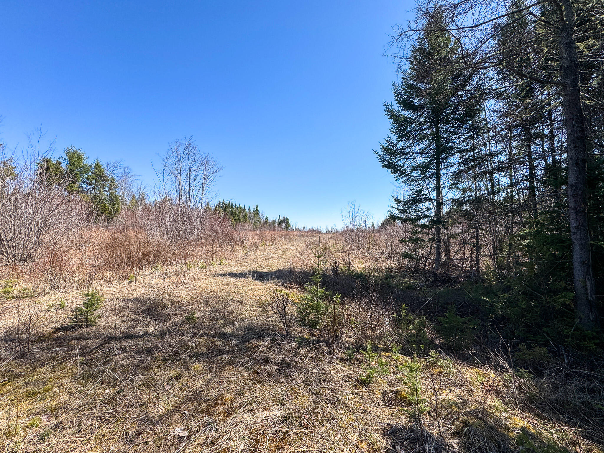 144 Black Water Road Ashland, ME 04732 - Photo 16 of 35 IMG_2653