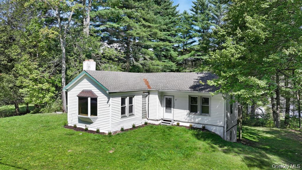 1463 Briscoe Road Swan Lake, NY 12783 - Photo 1 of 21