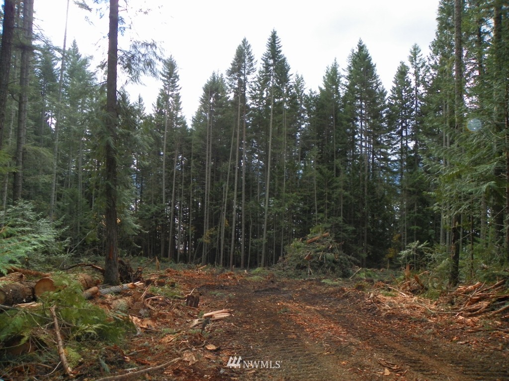 2 Kachess Dam Road Easton, WA 98925 - Photo 14 of 24 Gallery Image 14