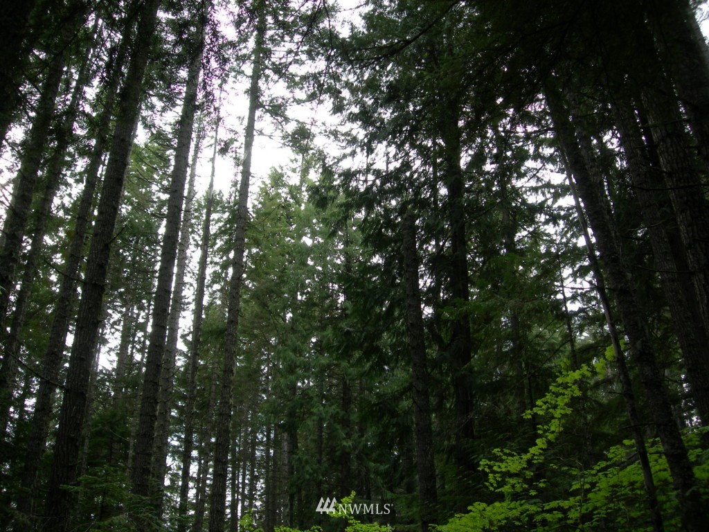 2 Kachess Dam Road Easton, WA 98925 - Photo 22 of 24 Gallery Image 22