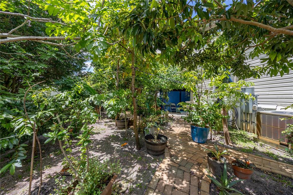 1890 Southwest 83rd Terrace Davie, FL 33324 - Photo 22 of 46 a backyard of a house with lots of green space