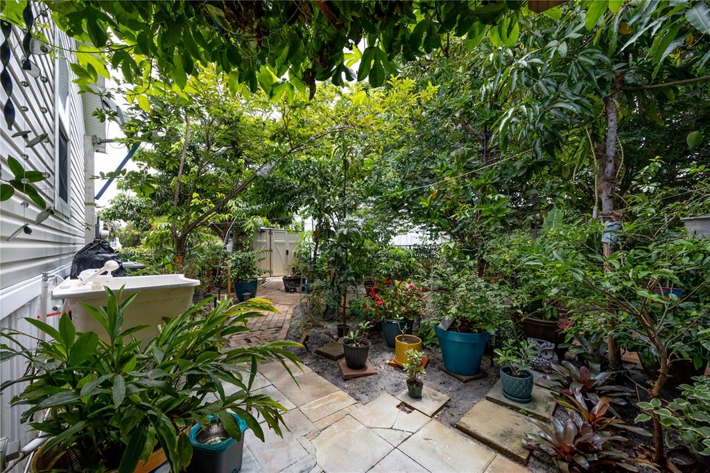 1890 Southwest 83rd Terrace Davie, FL 33324 - Photo 26 of 46 a picture of plants