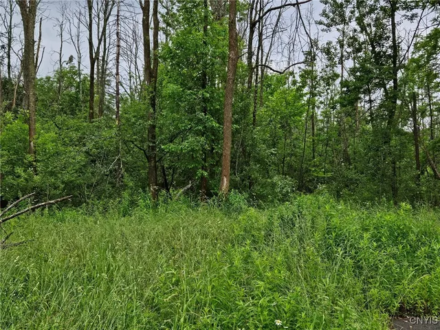 $36,000 | 56 Myrtle Street, Cazenovia, NY 13035