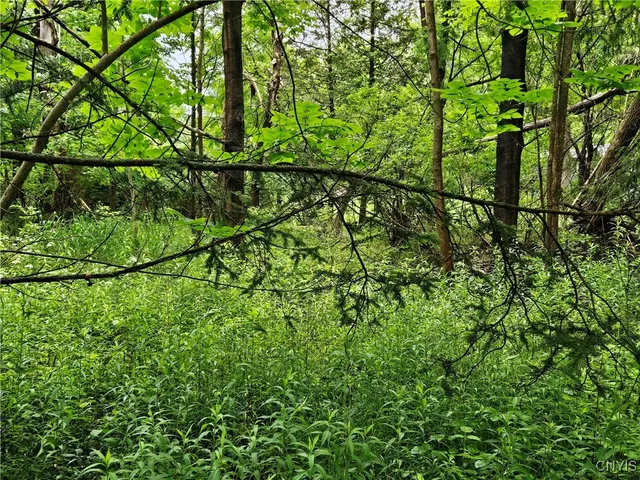 $36,000 | 56 Myrtle Street, Cazenovia, NY 13035