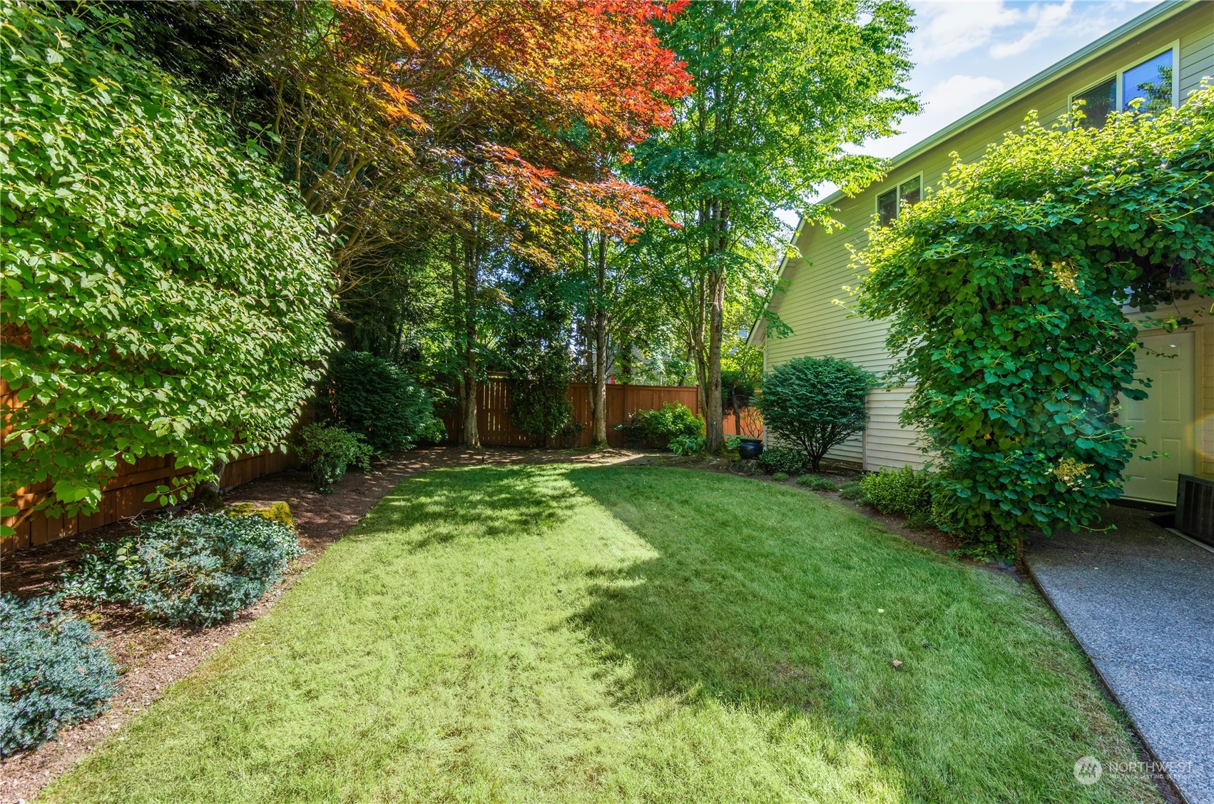 20619 38th Drive Southeast Bothell, WA 98021 - Photo 31 of 31 a view of a yard with plants and large trees