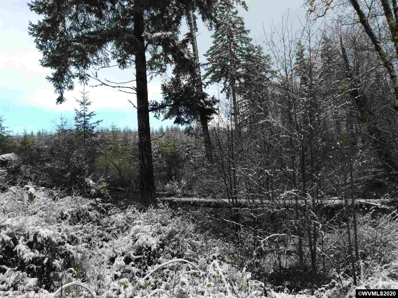 Gooseneck Road Sheridan, OR 97378 - Photo 5 of 13