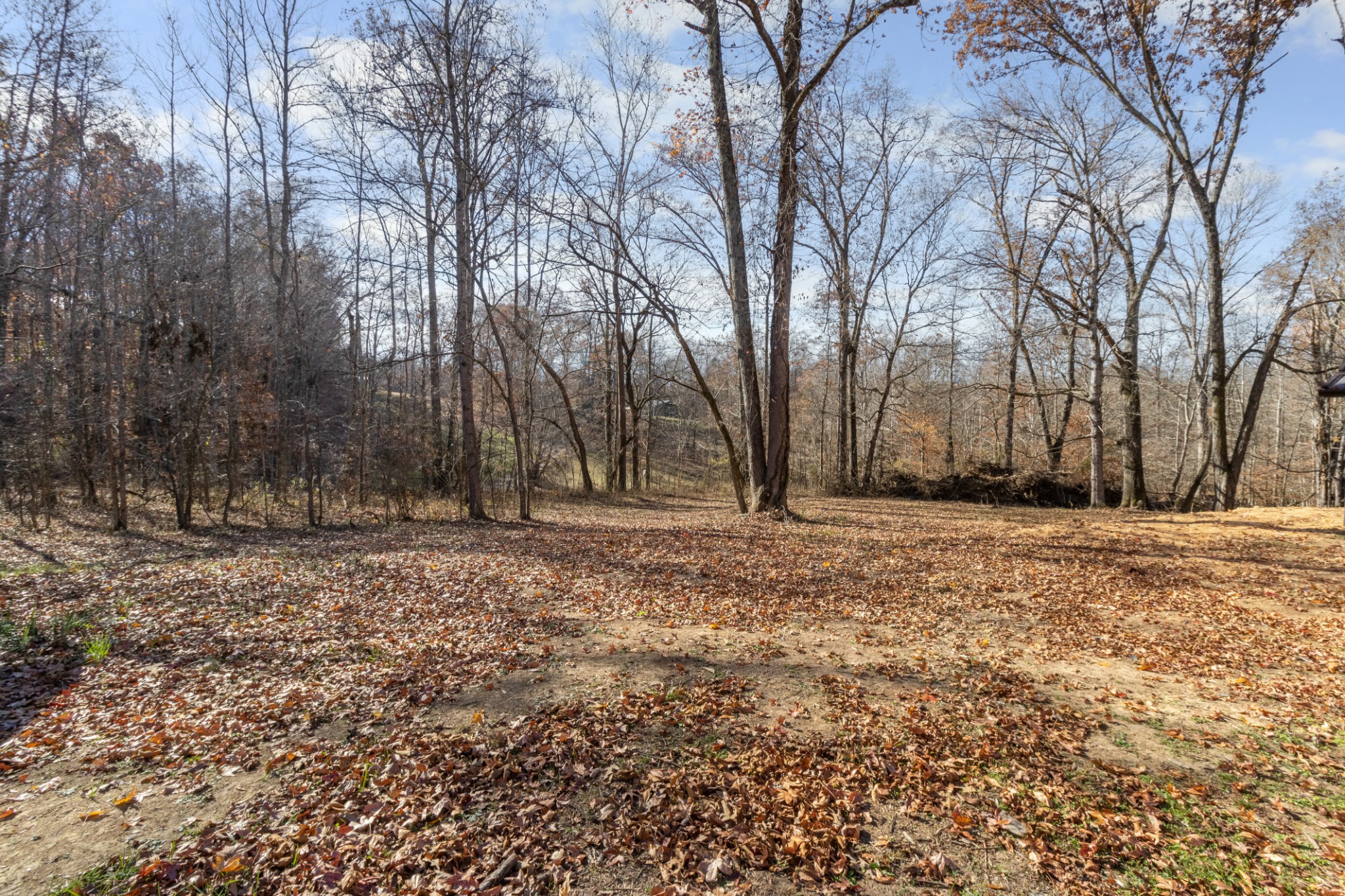 1888 Palmyra Road Palmyra, TN 37142 - Photo 40 of 43 Gallery Image 40