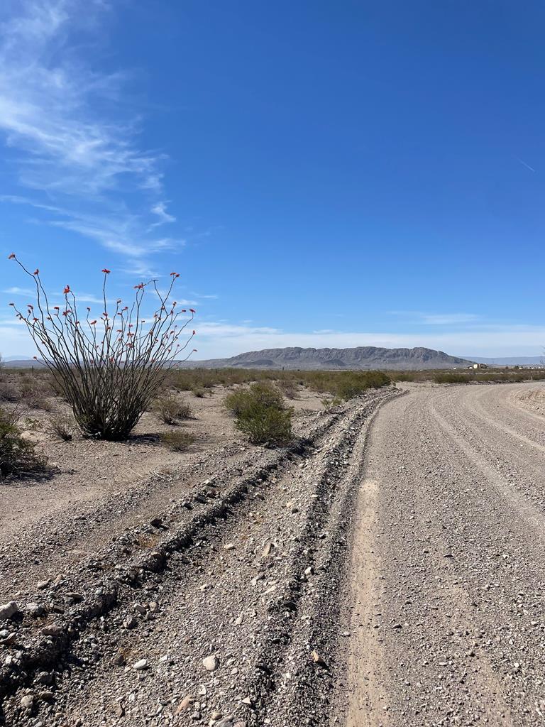 0 Southwest Ranch Road Presidio, TX 79845 - Photo 1 of 1 Gallery Image 1