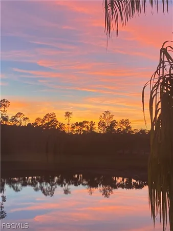 a view of a lake from a yard