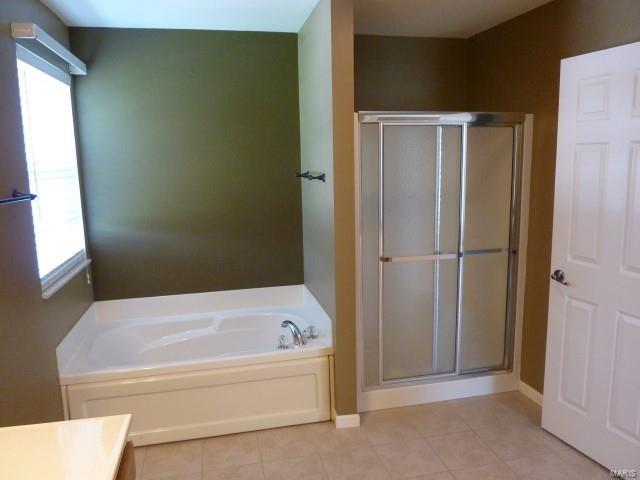 5927 Maeystown Road Waterloo, IL 62298 - Photo 20 of 55