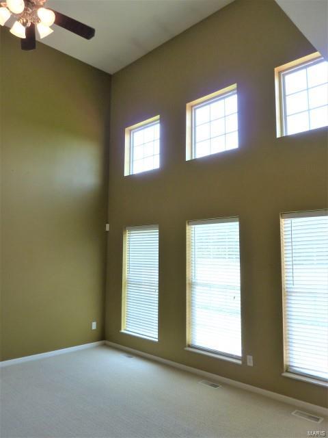 5927 Maeystown Road Waterloo, IL 62298 - Photo 27 of 55