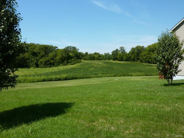 5927 Maeystown Road Waterloo, IL 62298 - Photo 9 of 55