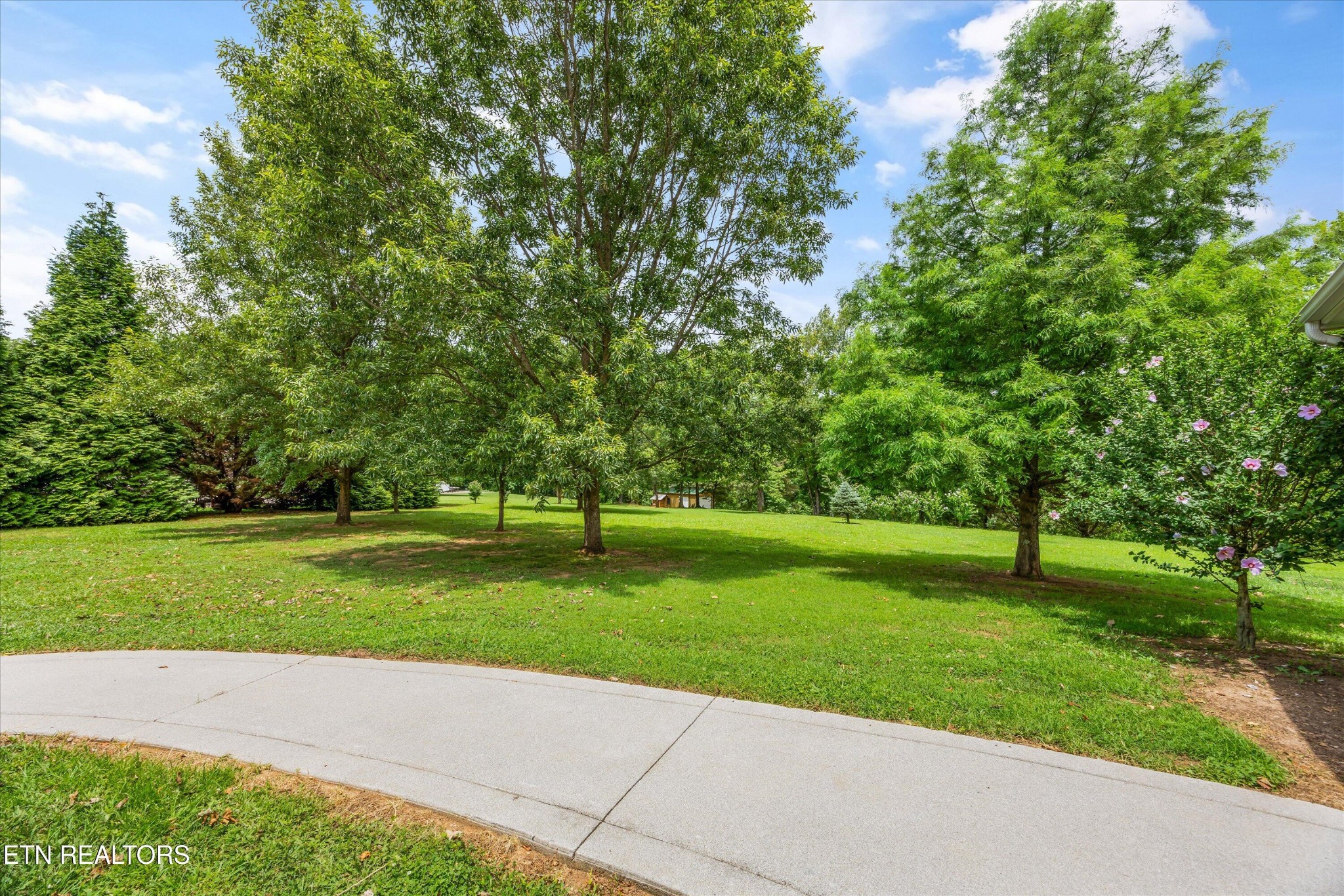 132 David Road Clinton, TN 37716 - Photo 43 of 52 a grassy field with trees in the background