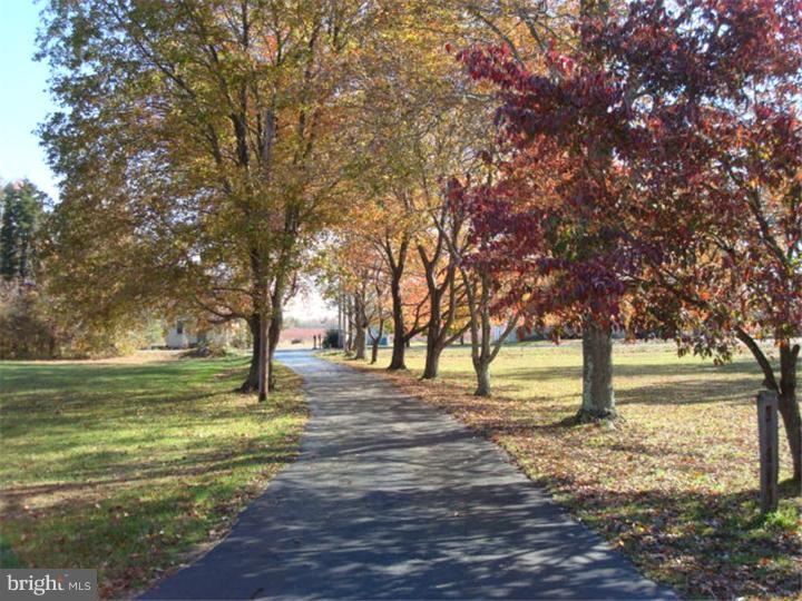 228 Stockton Bridge Road Pemberton, NJ 08068 - Photo 22 of 22