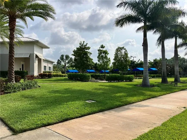 a view of a park with palm trees