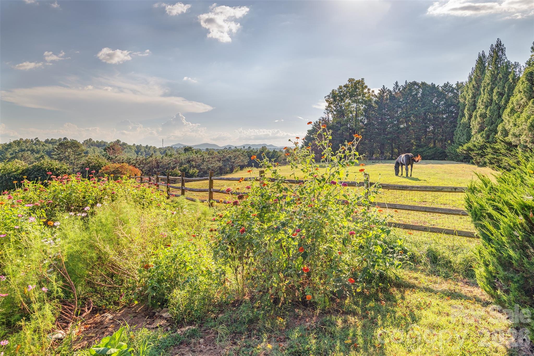 64 Greenridge Road Weaverville, NC 28787 - Photo 3 of 48 Gallery Image 3