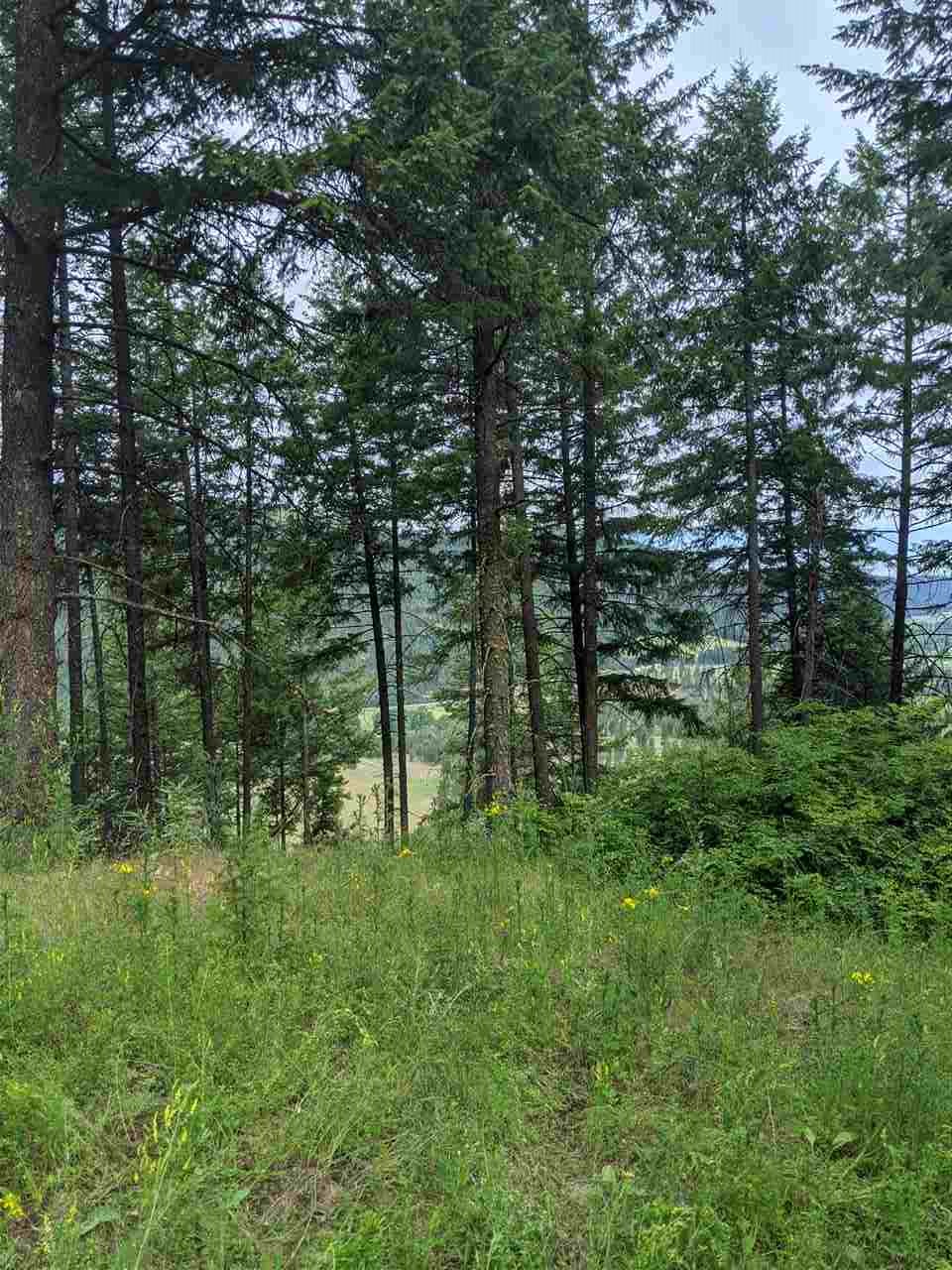 Lot 7 Williams Lake Road Colville, WA 99114 - Photo 1 of 7