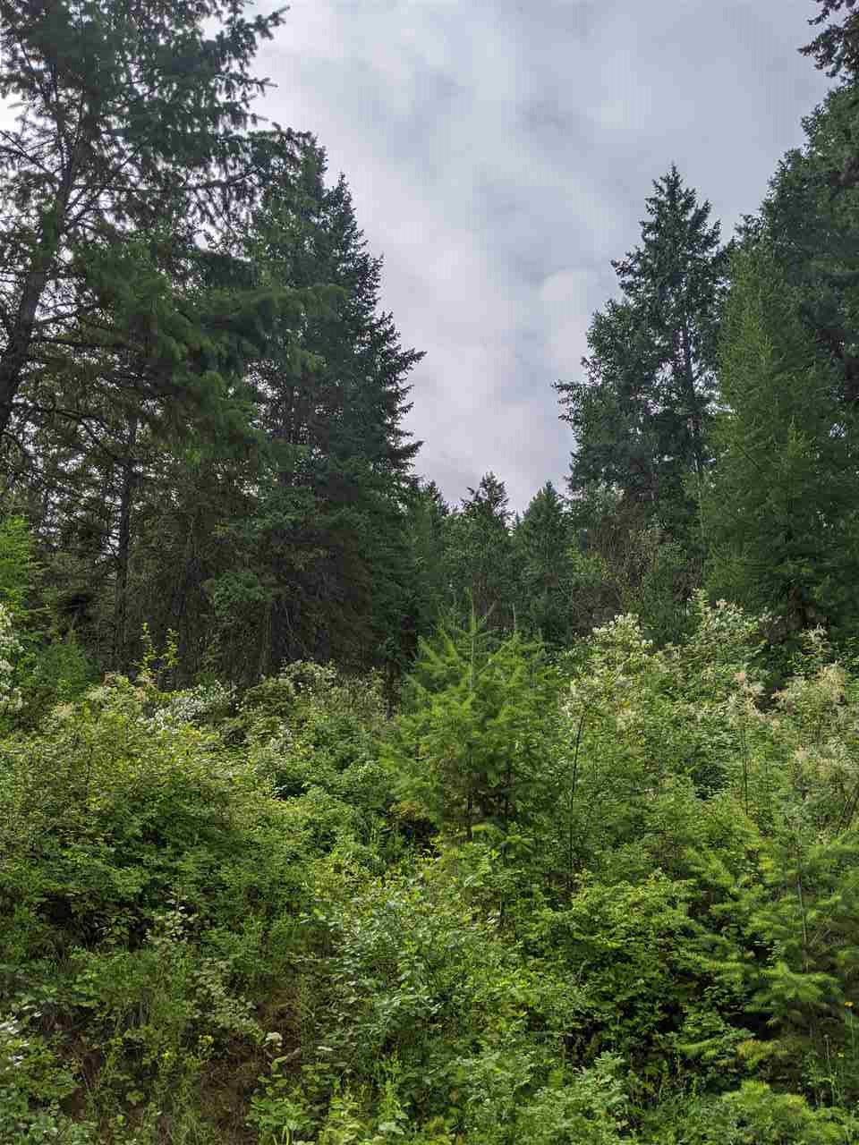 Lot 7 Williams Lake Road Colville, WA 99114 - Photo 2 of 7