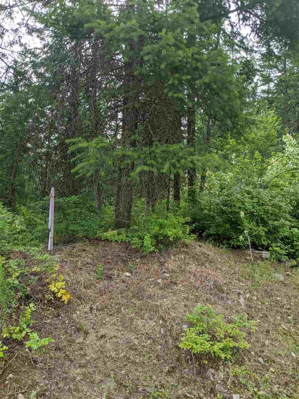 Lot 7 Williams Lake Road Colville, WA 99114 - Photo 3 of 7