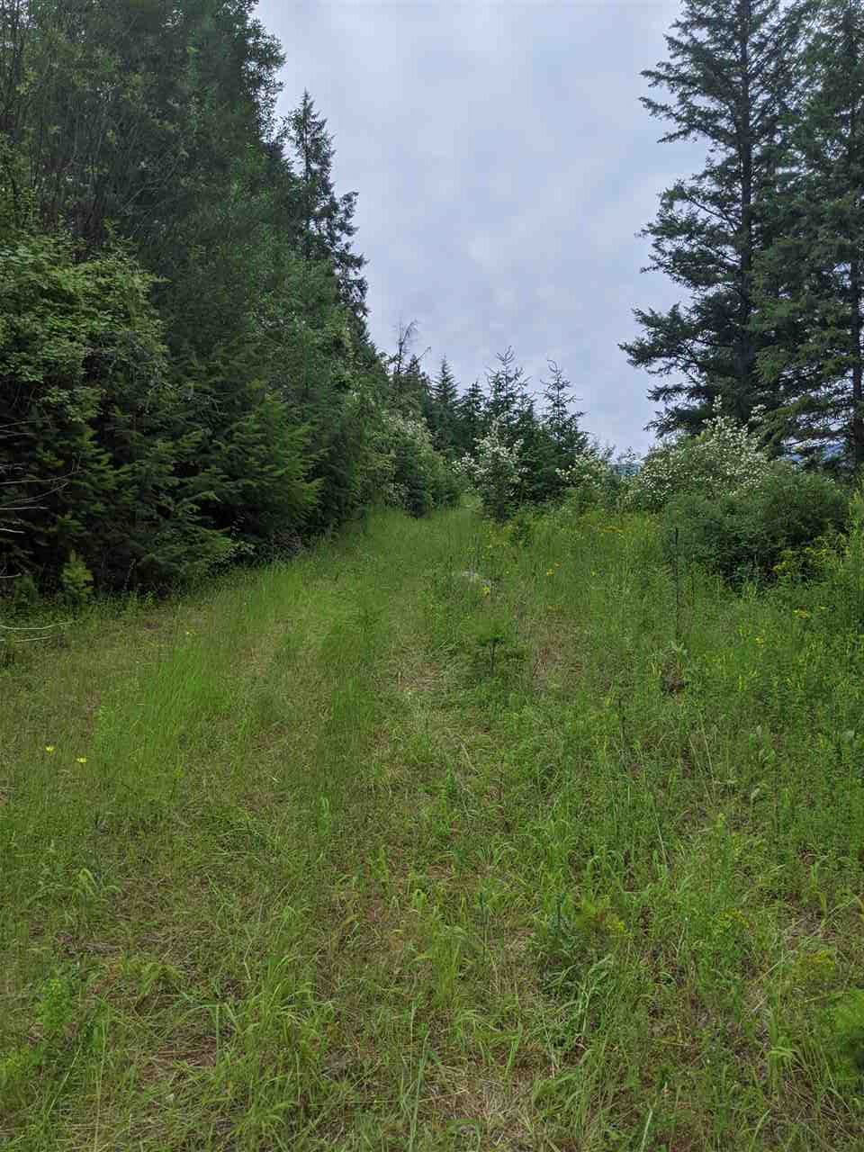 Lot 7 Williams Lake Road Colville, WA 99114 - Photo 6 of 7