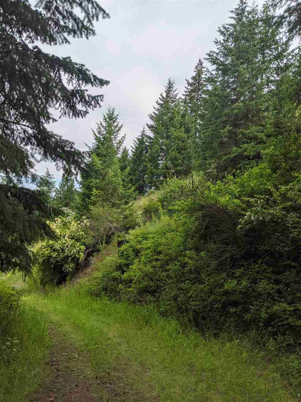 Lot 7 Williams Lake Road Colville, WA 99114 - Photo 7 of 7