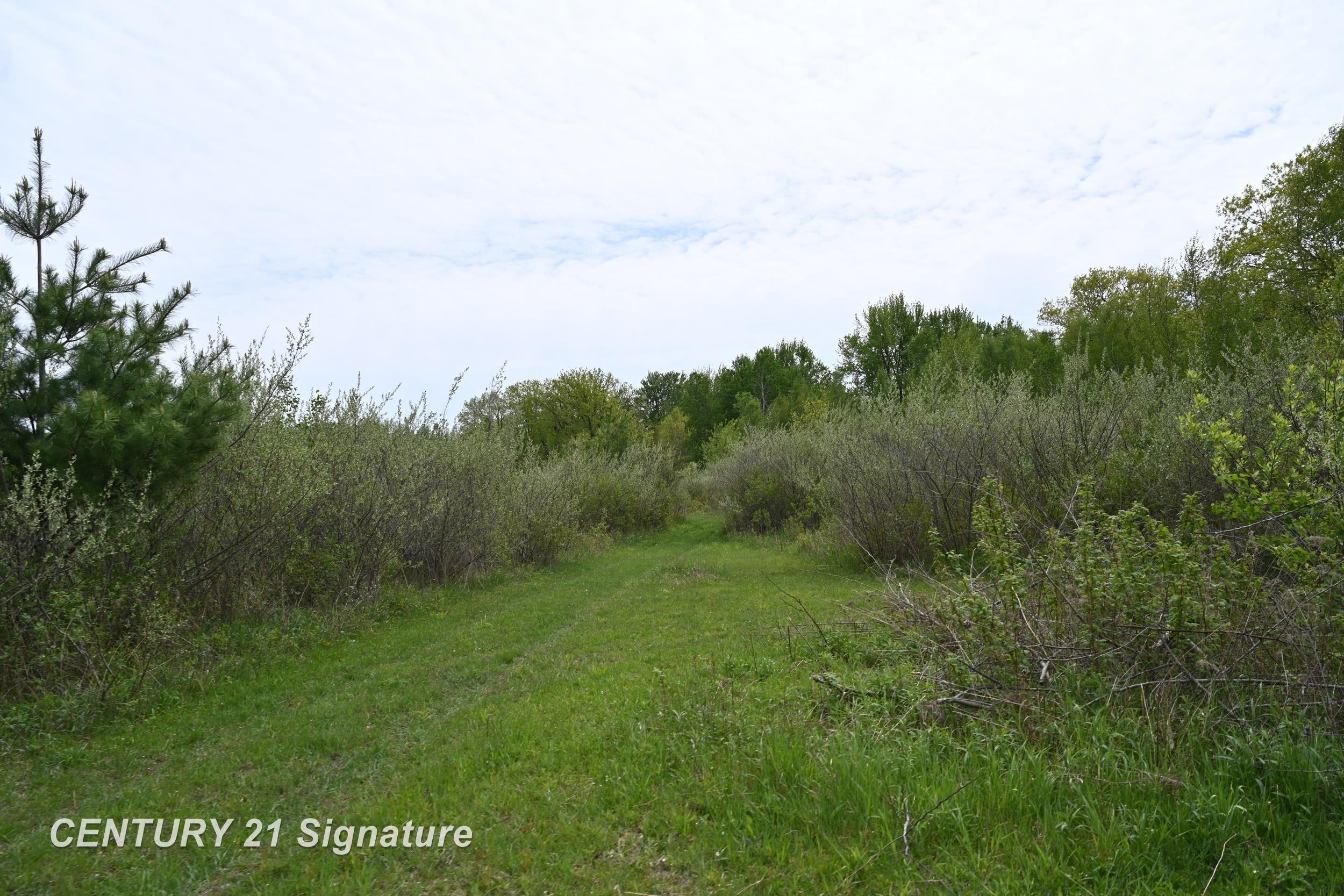150 East Winegars Road Beaverton, MI 48612 - Photo 66 of 74