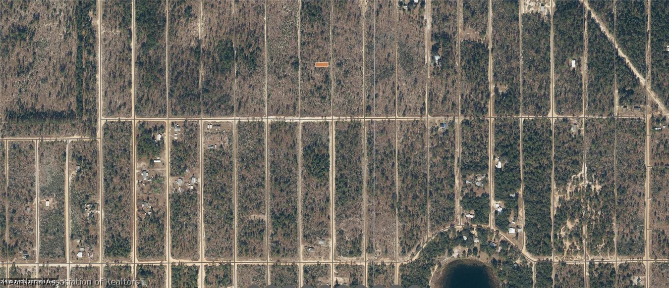 Dothan Street Interlachen, FL 32148 - Photo 3 of 6
