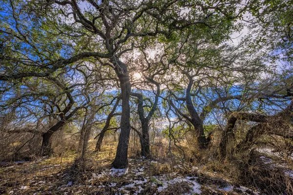 $1,499,000 | 10001 North N Highway, Shelbyville, TX 75973