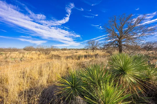 $1,499,000 | 10001 North N Highway, Shelbyville, TX 75973