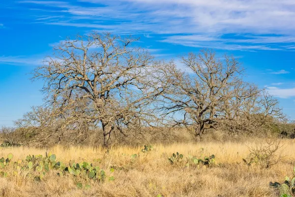 $1,499,000 | 10001 North N Highway, Shelbyville, TX 75973