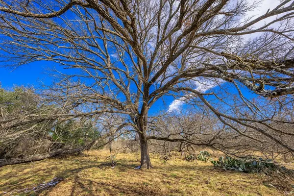 $1,499,000 | 10001 North N Highway, Shelbyville, TX 75973