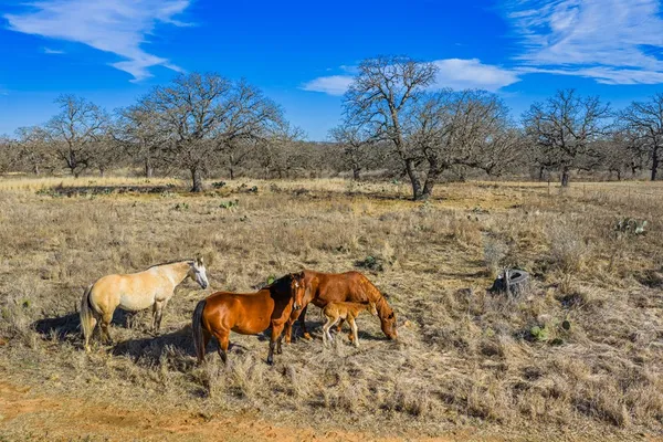 $1,499,000 | 10001 North N Highway, Shelbyville, TX 75973
