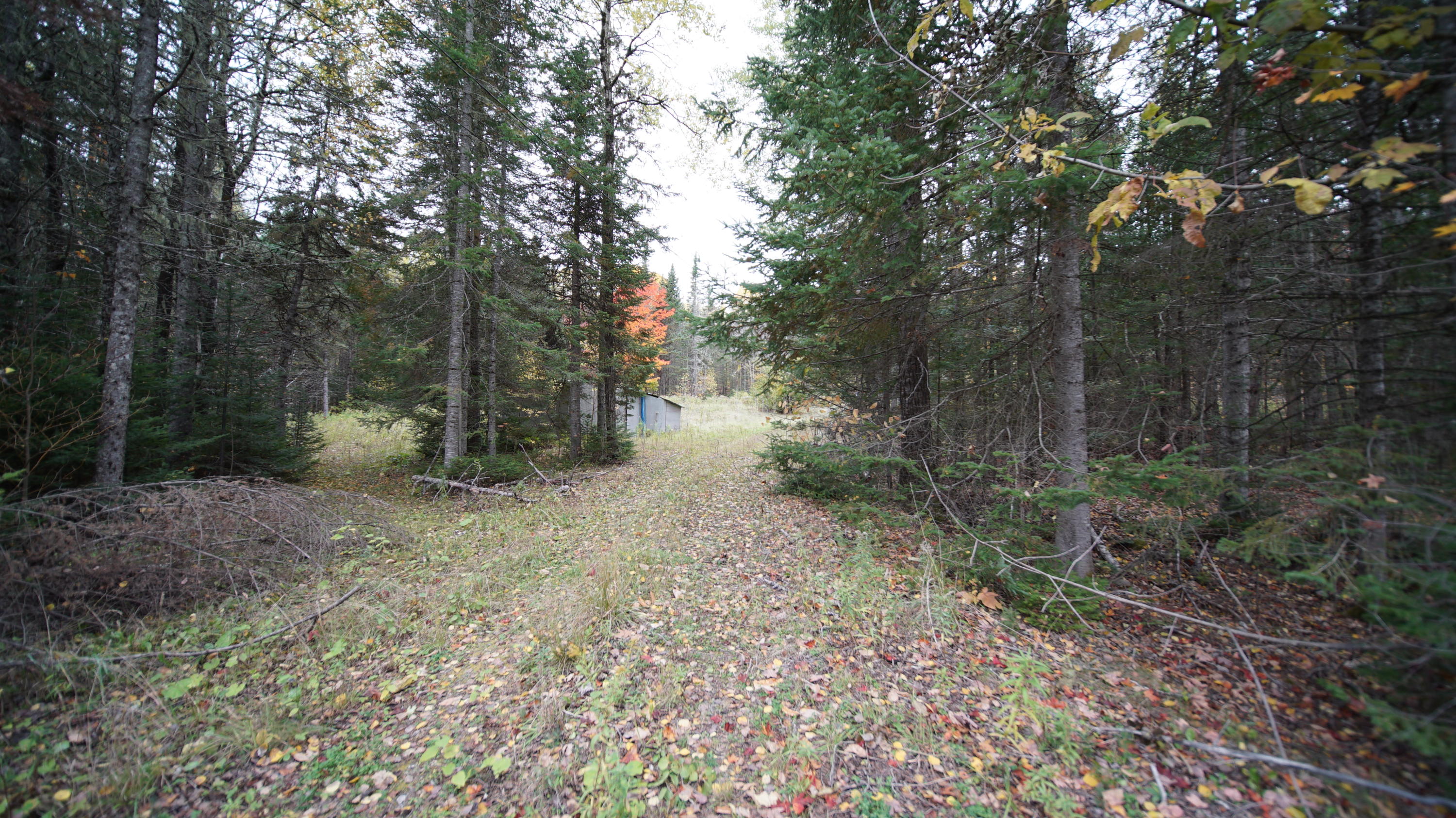 1093 Estabrook Road Amity, ME 04471 - Photo 12 of 32 DSC07612