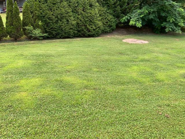 1784 Mission Ridge Road Rossville, GA 30741 - Photo 21 of 23 IMG_3423