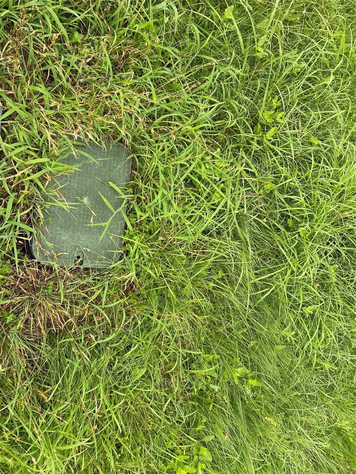 406 Fordtrant Ellinger, TX 78938 - Photo 11 of 17 view of a green field