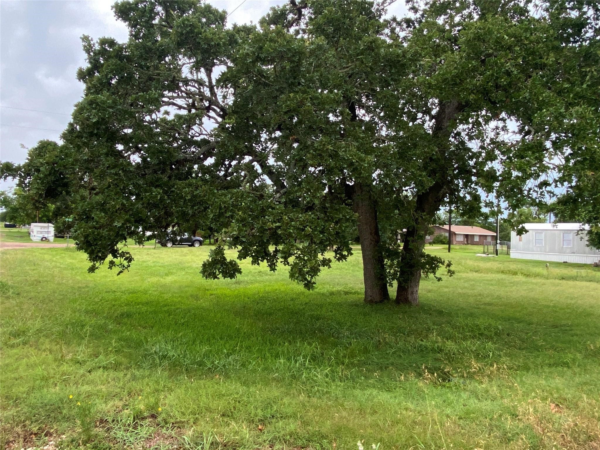 406 Fordtrant Ellinger, TX 78938 - Photo 5 of 17 a view of a tree in a yard