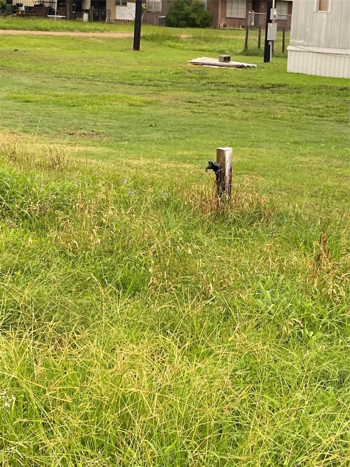 406 Fordtrant Ellinger, TX 78938 - Photo 8 of 17