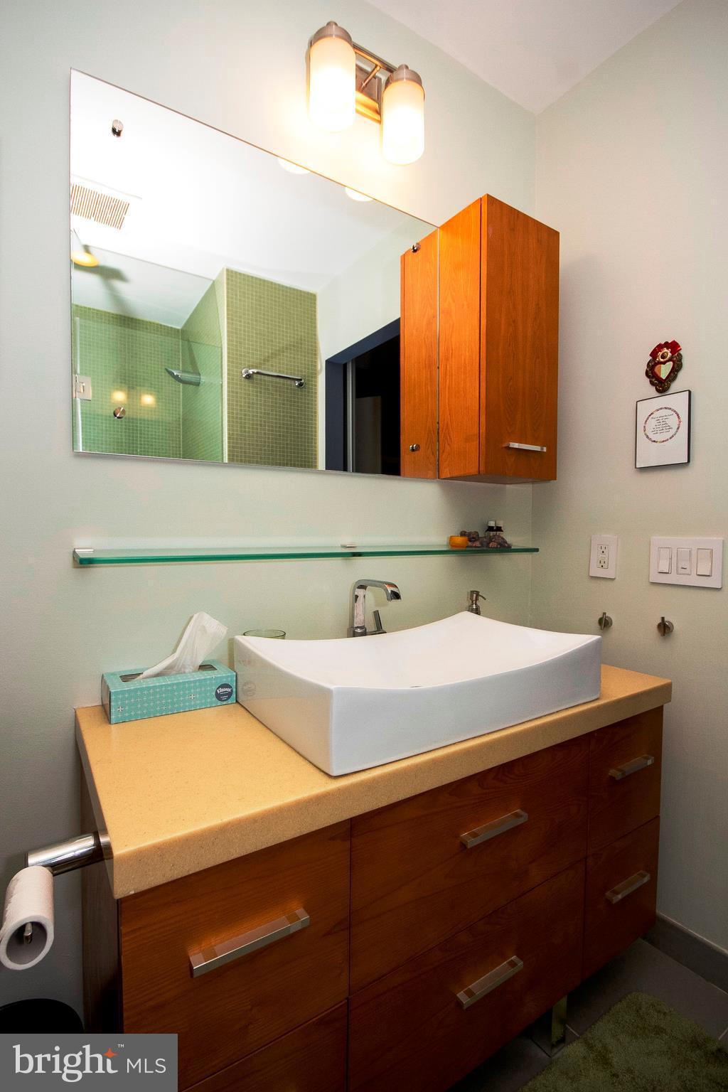 5204 Downing Road Baltimore, MD 21212 - Photo 21 of 29 Bath (Master)