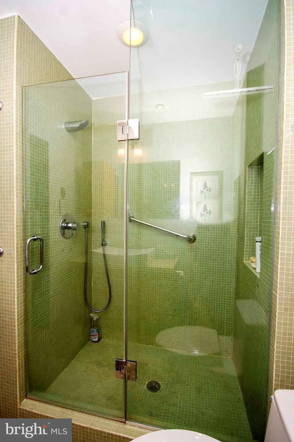 5204 Downing Road Baltimore, MD 21212 - Photo 22 of 29 Bath (Master)